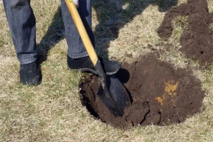 10 жахливу історію про людей, яких поховали заживо