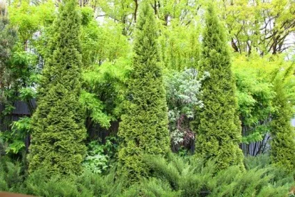11 Модних прийомів ландшафтного дизайну (дизайну) 11 Модних прийомів ландшафтного дизайну