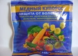 Обприскування мідним купоросом смородину (смородину) Обприскування мідним купоросом смородину