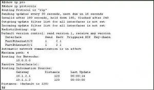Опис протоколу rip (routing information protocol), netconfig