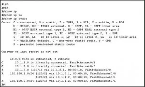 Опис протоколу rip (routing information protocol), netconfig