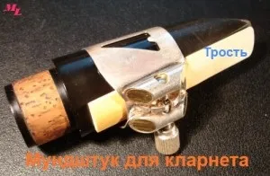Особливості вилучення звуку на духових музичних інструментах, music life (особливості) Особливості вилучення звуку на духових музичних інструментах, music life