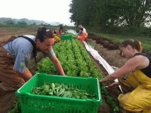 Остеохондроз тазостегнового суглоба лікування і профілактика