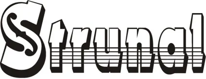 Визначення розміру скрипки (вимір) (вимір) Визначення розміру скрипки (вимір)