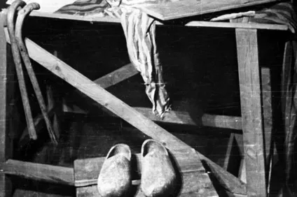 Звільнення «фабрики смерті» (велика вітчизняна війна) Звільнення «фабрики смерті»