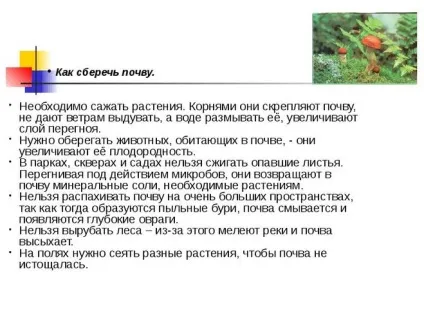 Від чого слід захищати грунт (захищати) Від чого слід захищати грунт