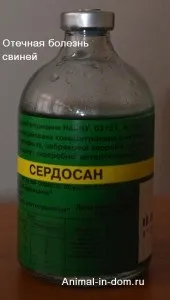 Набрякла хвороба свиней, лікування домашніх тварин