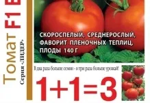 Відгуки врожайність і фото томата Верліока помідори плюс опис сорту, характеристика вирощування (відгуки) Відгуки врожайність і фото томата Верліока помідори плюс опис сорту, характеристика вирощування