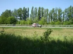 Відгуки про автомобілі ока