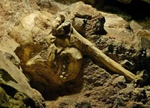 Пам'ятник колиска людства, cradle of humankind (cradle) Пам'ятник колиска людства, cradle of humankind