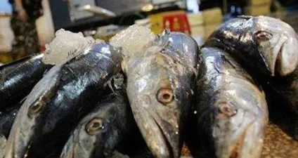 Отруєння рибою симптоми і лікування в домашніх умовах 1 (домашніх) Отруєння рибою симптоми і лікування в домашніх умовах 1