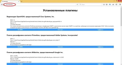 Відключити флеш в Мозіль поради та рекомендації (відключити) Відключити флеш в Мозіль поради та рекомендації