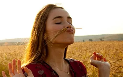 Висівки пшеничні для схуднення