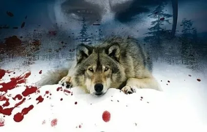 Відгуки про книгу Весьегонская вовчиця (Значення слова Бірюк словником) Відгуки про книгу Весьегонская вовчиця
