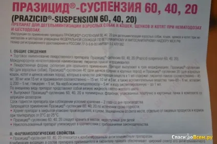 Відгук про препарат для дегельмінтизації - празіцід - суспензія 20 api-san для кішок празіцід (препарат) Відгук про препарат для дегельмінтизації - празіцід - суспензія 20 api-san для кішок празіцід