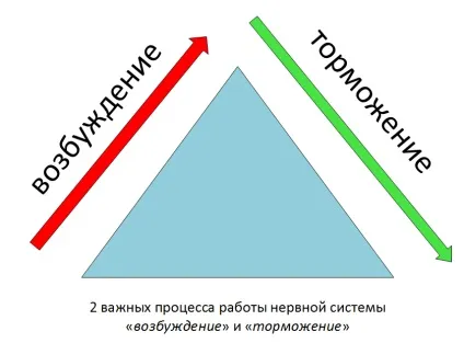 Відпочинок протягом дня