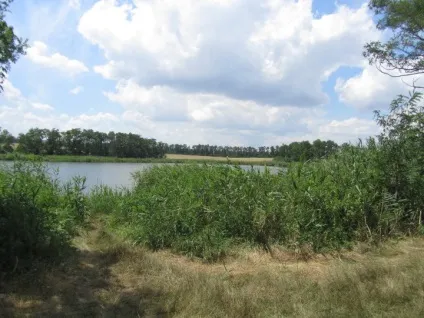 відпочинок вУкаіни
