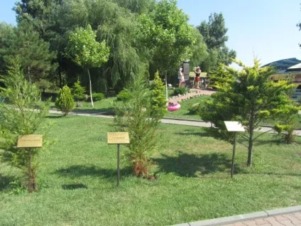 відпочинок вУкаіни