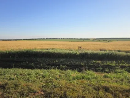 відпочинок вУкаіни