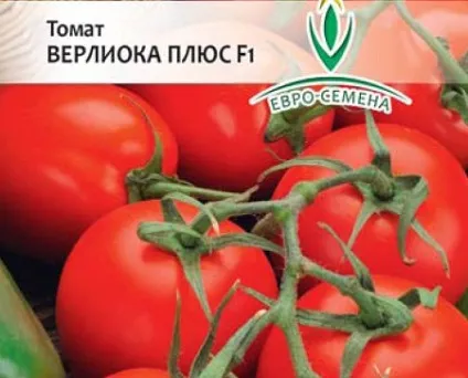 Відгуки врожайність і фото томата Верліока помідори плюс опис сорту, характеристика вирощування (фото) Відгуки врожайність і фото томата Верліока помідори плюс опис сорту, характеристика вирощування
