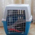 Перенесення для собак як вибрати, як підібрати розмір і ін (собак) Перенесення для собак як вибрати, як підібрати розмір і ін
