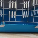 Перенесення для собак як вибрати, як підібрати розмір і ін (вибрати) Перенесення для собак як вибрати, як підібрати розмір і ін