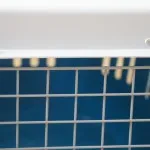 Перенесення для собак як вибрати, як підібрати розмір і ін (розмір) Перенесення для собак як вибрати, як підібрати розмір і ін