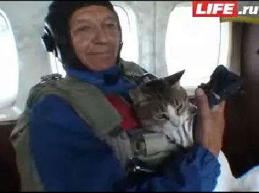 перший кіт