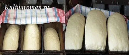 Печемо смачний домашній хліб в духовці, смачні рецепти (смачний) Печемо смачний домашній хліб в духовці, смачні рецепти