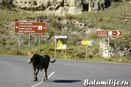 Печерні міста Вардзія, грузія фото, на карті, як дістатися (грузія) Печерні міста Вардзія, грузія фото, на карті, як дістатися