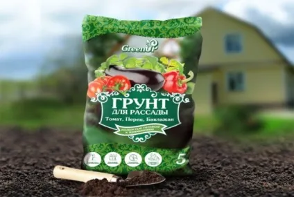 Перець на балконі як виростити (балконі) Перець на балконі як виростити