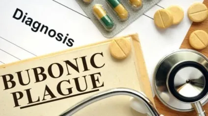 Чому домашні тварини не повинні спати з вами в одному ліжку (чому) Чому домашні тварини не повинні спати з вами в одному ліжку