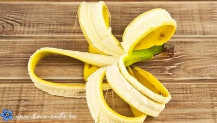 Підживлення для квітів з бананової шкірки (бананової) Підживлення для квітів з бананової шкірки