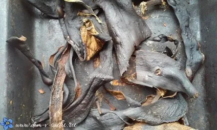 Підживлення для квітів з бананової шкірки (шкірки) Підживлення для квітів з бананової шкірки