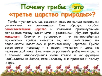 Чому грибам не потрібно рухатися 3 клас (чому) Чому грибам не потрібно рухатися 3 клас