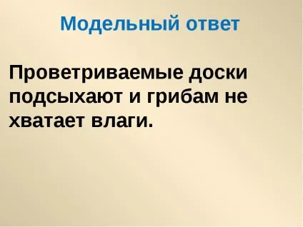 Чому грибам не потрібно рухатися 3 клас (зробити будиночок своїми руками для кошеня) Чому грибам не потрібно рухатися 3 клас