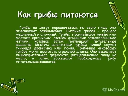 Чому грибам не потрібно рухатися 3 клас (грибам) Чому грибам не потрібно рухатися 3 клас
