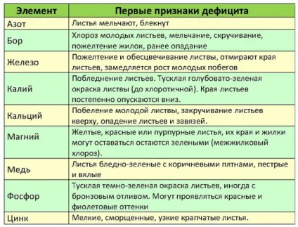 Підживлення яблунь після цвітіння і під час плодоношення, городник (після) Підживлення яблунь після цвітіння і під час плодоношення, городник