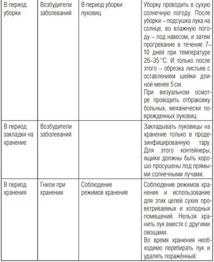 Чому у цибулі жовтіють кінчики пір'я, дача (кінчики) Чому у цибулі жовтіють кінчики пір'я, дача