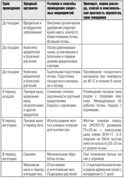 Чому у цибулі жовтіють кінчики пір'я, дача (жовтіють) Чому у цибулі жовтіють кінчики пір'я, дача