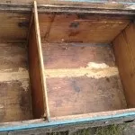 Отримання маточного молочка в домашніх умовах, практичне бджільництво (домашніх) Отримання маточного молочка в домашніх умовах, практичне бджільництво