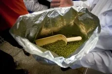 Порошкове пиво 1 (пройти весь процес) Порошкове пиво 1