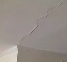 Фарбування стелі своїми руками яку фарбу та інструменти краще використовувати