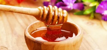 Користь меду для організму людини (користь) Користь меду для організму людини