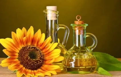 Корисні властивості нерафінованої олії, лікувальні властивості, в чому (рецепти) Корисні властивості нерафінованої олії, лікувальні властивості, в чому