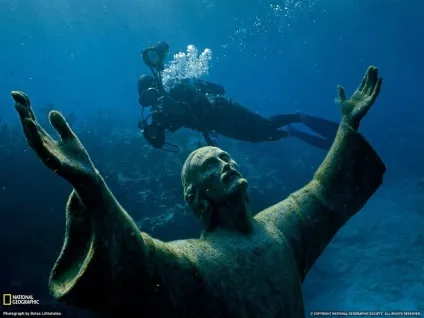 Підводний світ морських мешканців