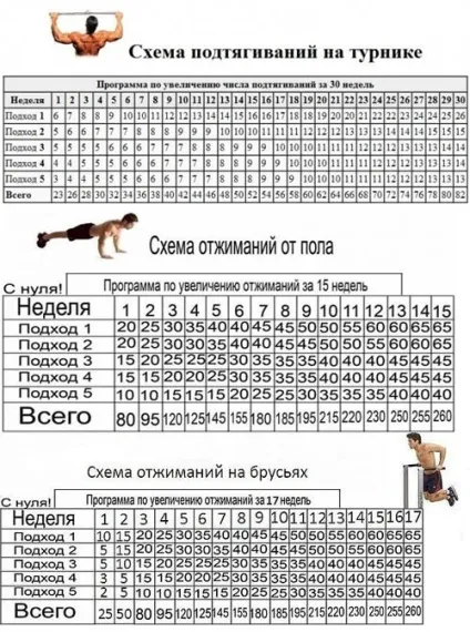Підтягування на брусах