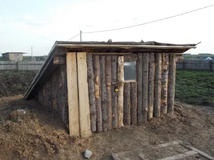 Практика розведення кроликів в ямі, кролики (виводок кроликів) Практика розведення кроликів в ямі, кролики