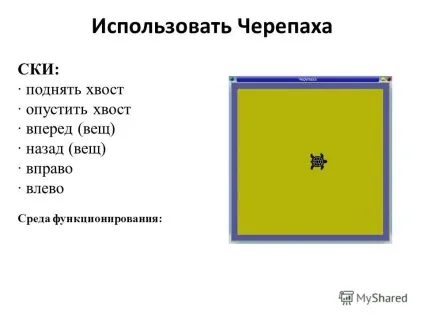 Презентація на тему виконавці коник, вдалий і черепаха