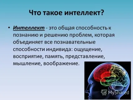 Презентація на тему інтелект людини і його види (людини) Презентація на тему інтелект людини і його види